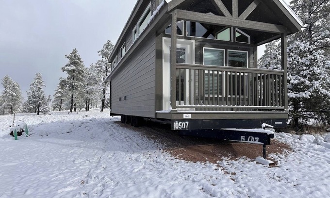 Williams Ski Chalet | 1B Cozy chalet with 1 bedroom, AC, WiFi and forest view with patio in Williams
