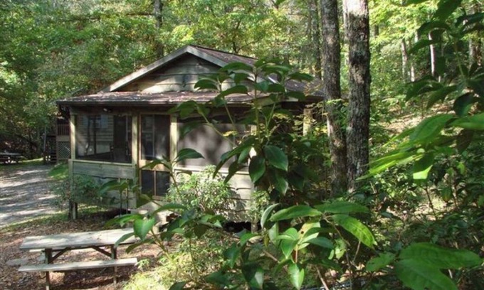 Brevard Cabin | 1BR Dogwood Den - Ash Grove