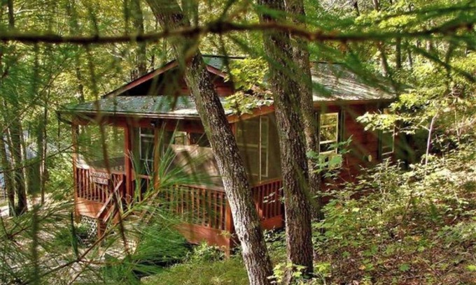 Brevard Cabin | 1BR Woodspirit's Retreat
