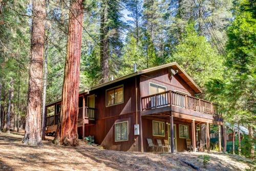 North Wawona House | 1S Cecils Cabin