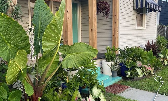 Jefferson House | 2 bed/1 bath in Quiet New Orleans Neighborhood