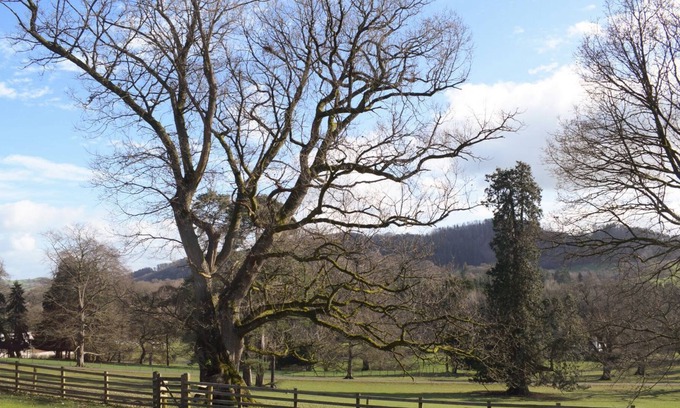 Llanfyllin Cottage | 2 bedroom accommodation in Llanfyllin