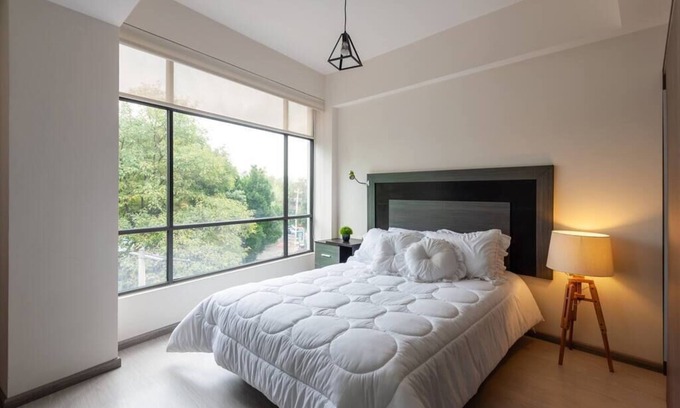 Benito Juarez Apartment | 2 Bedroom Long term home, office, vacation CDMX