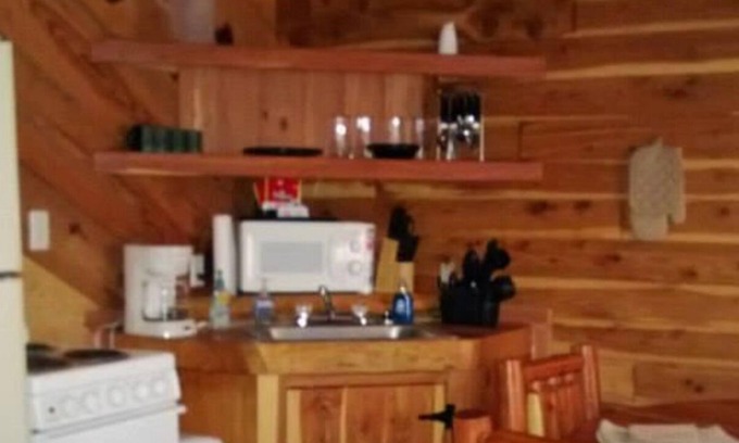 Newnata Cabin | 2 miles from Blanchard Springs Caverns