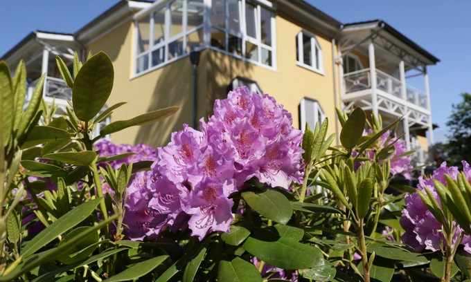 Graal Mueritz Apartment | 2-room apartment with large conservatory with fireplace in the attic