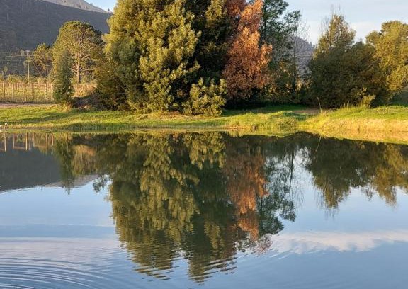 Bitou Apartment | 20 Good Summers Farm Stay