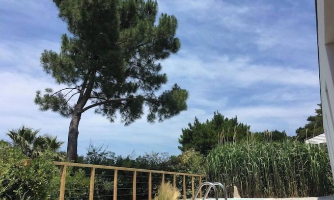 Kokotia Villa | 2019 architect-designed house