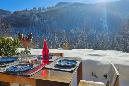 Saint-Jean-de-Sixt Apartment | 3 apartment with terrace in the village