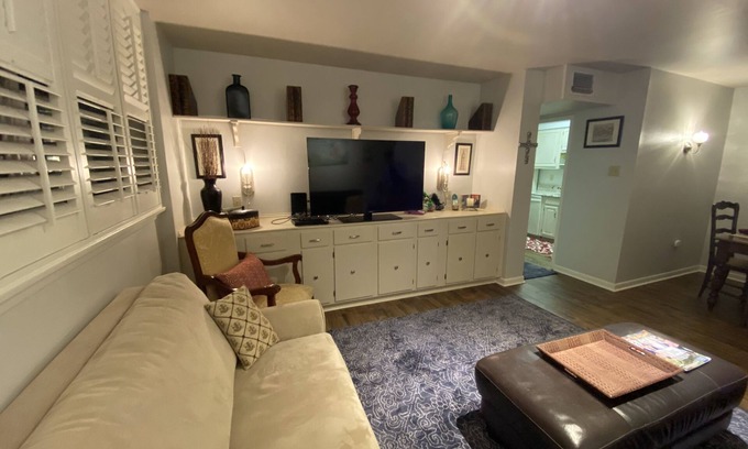 Faubourg Livaudais Condo | 3 Bed 2 Bath On St Charles With 2 Parking Spaces Across From Street Car Stop