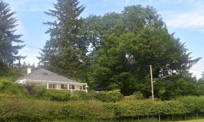 Trefriw Cottage | 3 bedroom accommodation in Trefriw, near Betws-Y-Coed