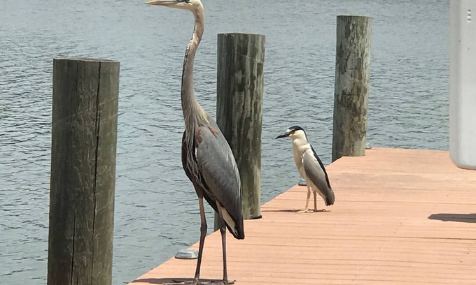 Fort Howard House | 3 Bedroom house. The BayHouse on The water. Movie theater Dock, Rafts, Fishin