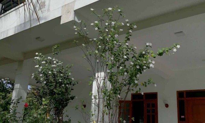 Seeduwa - Katunayake Villa | 3-bedroom villa within 12-minute drive to Bandaranike Airport.