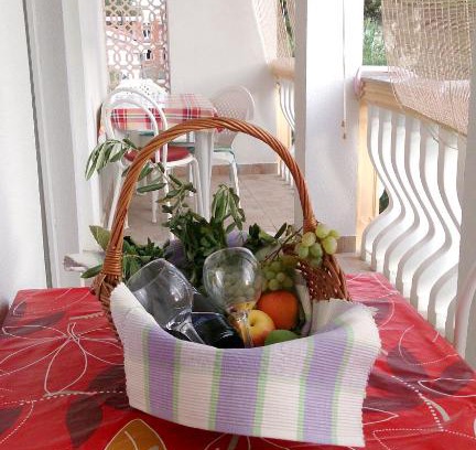 Privlaka Apartment | 3 bedrooms appartement at Privlaka 250 m away from the beach with sea view and enclosed garden