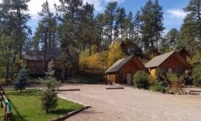 Rapid City Apartment | 3 Custom Built Log Cabin Bordered by Black Hills National Forest