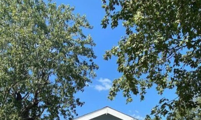 Charlotte Park Apartment | 30 Day Minimum Stay: Quiet Guest House 15 minutes from downtown