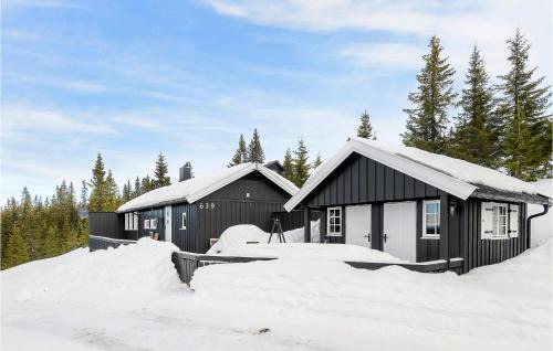 Sjusjoen House | 4 Bedroom Gorgeous Home In Sjusjøen