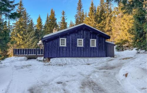 Skeikampen House | 4 Bedroom Lovely Home In Østre Gausdal