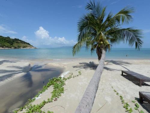 Moo 5 Villa | 4 Bedroom Villa TG33 on Beachfront Resort SDV284-By Samui Dream Villas