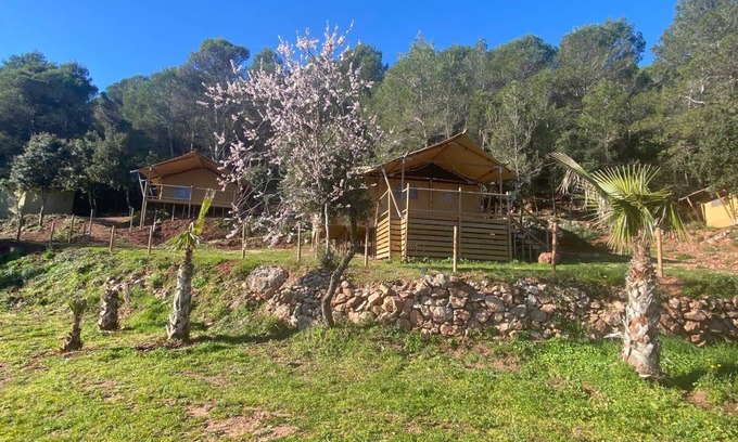Terrades Apartment | 40 m² Serviced apartment ∙ 2 guests