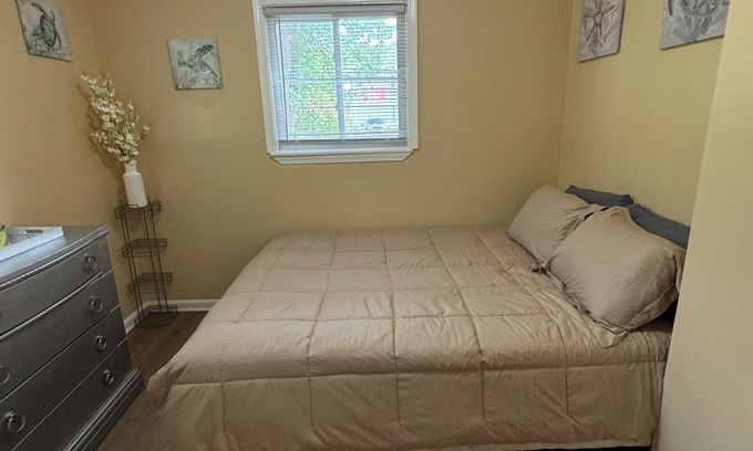 Detroit House | 420 friendly Charming 3-bedroom house in awesome Detroit with AC, WiFi
