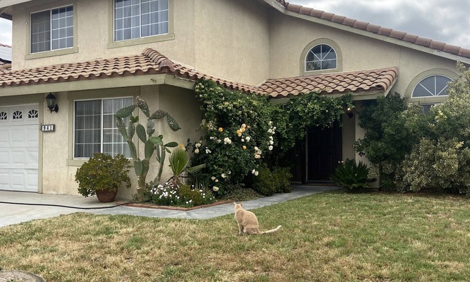 San Jacinto House | 4Br, 2100 sqft Beautiful Bungalow in San Jacinto, California. Near MSJC.