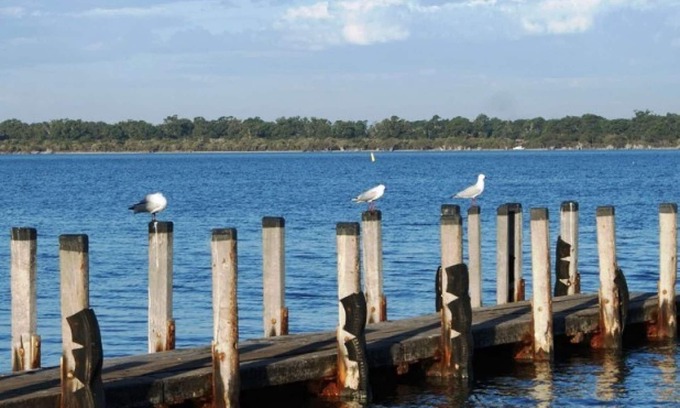 Dawesville House | 4BR home with estuary views nestled amongst native trees and flowers