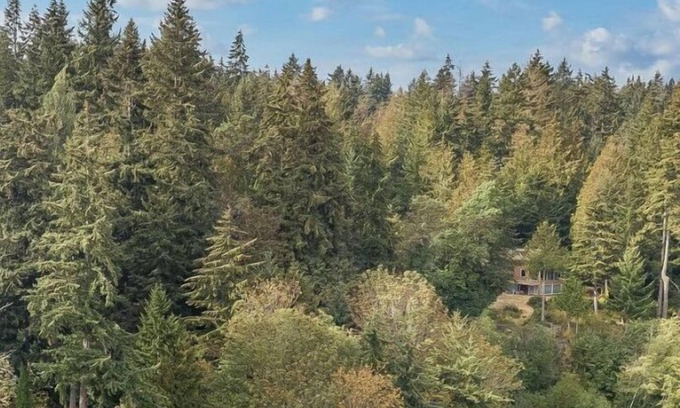 Bremerton House | 5 Acre Waterfront Compound - 5 Homes, sleeping 32!