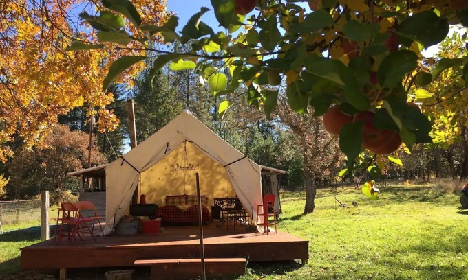 Northside Cabin | 5 minutes to the theme park! Family-sized condo with game room & deck