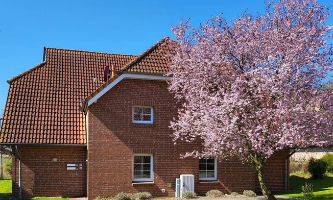 Waase Apartment | 50 m² Apartment ∙ 1 bedroom ∙ 4 guests