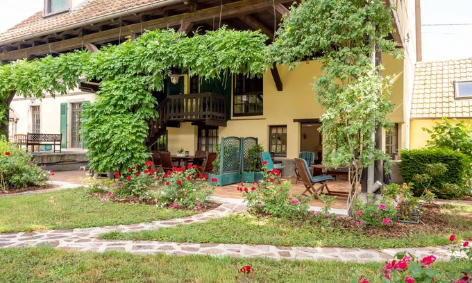 Hessenheim Apartment | 57 m² Apartment ∙ 1 bedroom ∙ 4 guests