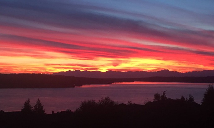 University Place House | 5br Sweeping View Of Puget Sound & Olympics; Under 1 Mile Chambers 2015 US Open