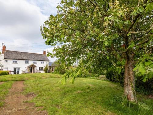 Tiverton House | 6 Bed in Cadeleigh 66780