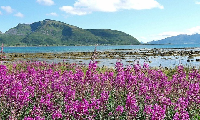 Hadsel House | 6 person holiday home in Hennes