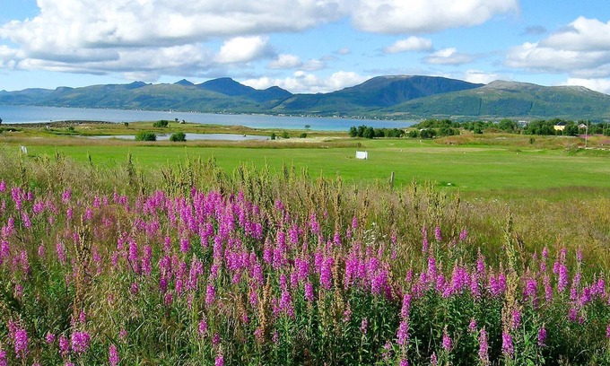 Sortland House | 7 person holiday home in SORTLAND-By Traum
