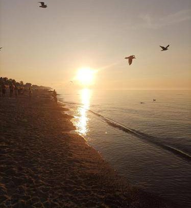 Sarbinowo Resort | 70 m² Resort ∙ 4 guests