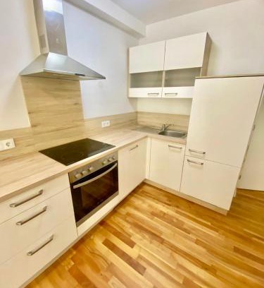 Grinzing Apartment | 80m2 Apartment with Terrace & Free Parking