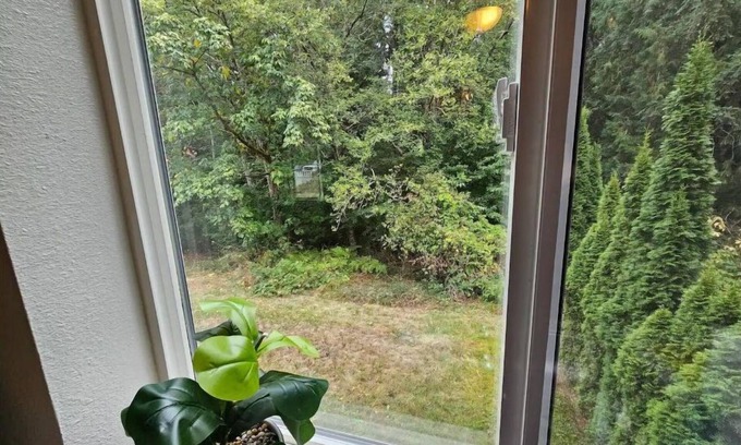 Bonney Lake House | 90s Themed House In the Woods