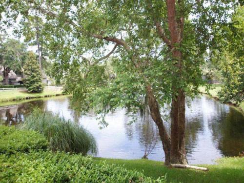 Palmetto Dunes House | 916 Inverness