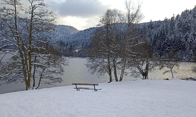 Xonrupt-Longemer Apartment | A 2 pas du lac