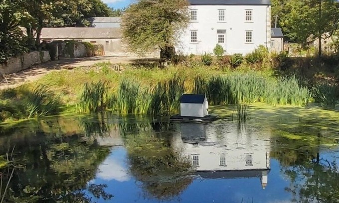 Castlemorris Other | A beautifully restored Welsh farmhouse nestled in the Pembrokeshire countryside close to the coast