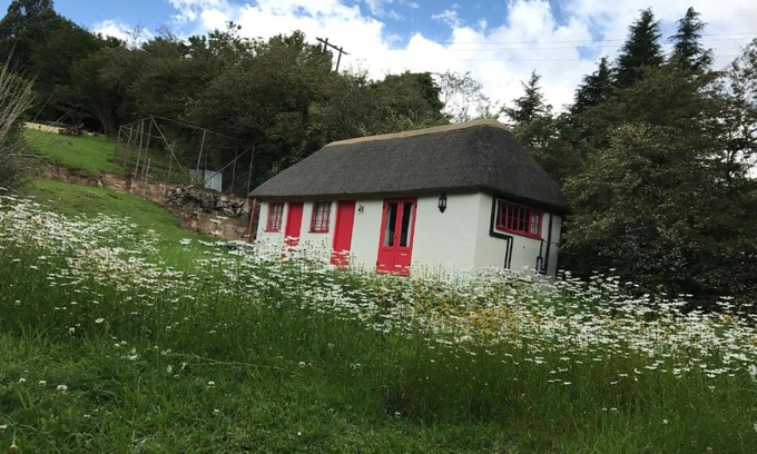 Rosetta House | A Boat House