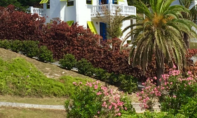 Southampton Villa | A Charming Bermuda Gem 🌸