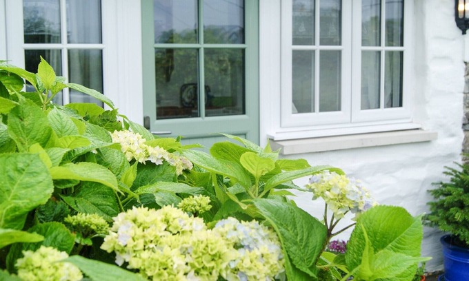 St Dogmaels Cottage | A cosy & bright cottage in the heart of St Dogmaels, Pembrokeshire