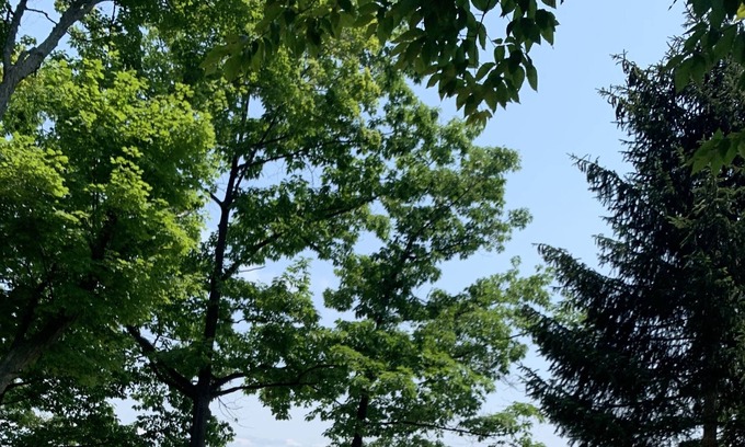 Elk Rapids Resort | A family compound on gorgeous Elk Lake! 5 lakeside cottages to share!