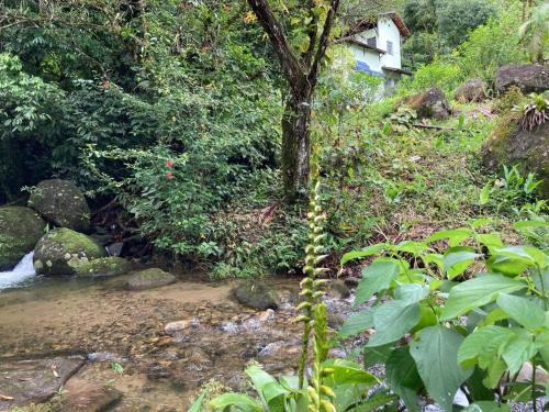 Cachoeiras de Macacu House | A family house in the woods of Atlantic forest