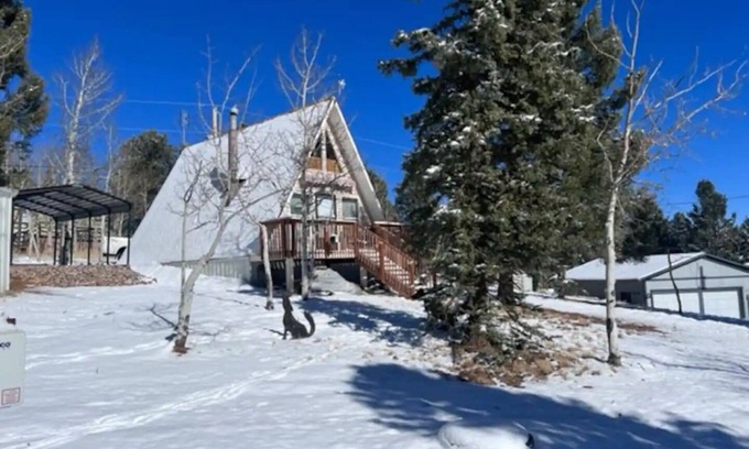 Woodland Park Cabin | A Frame 2 story home