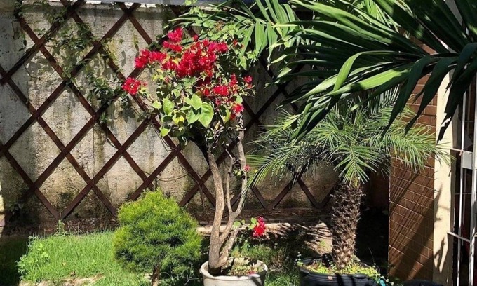 Olinda Apartment | A Joia de Olinda