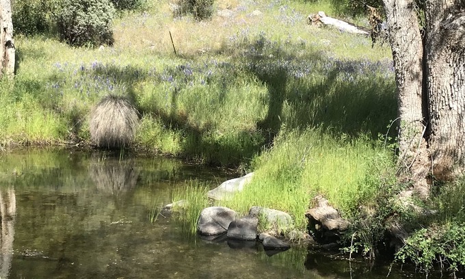 Mariposa Other | A Place for Family Funn Horses welcome
