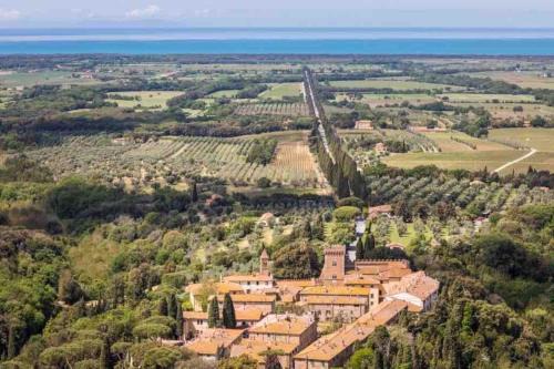 Bolgheri Apartment | a pochi passi dal centro