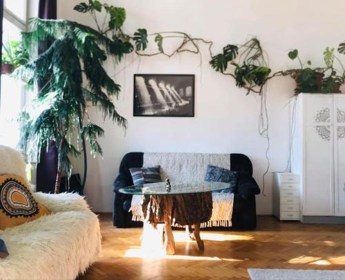 Nepszinhaz negyed Apartment | A Selva urbana